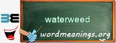 WordMeaning blackboard for waterweed